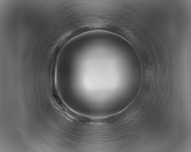 X0000053020539200507081328