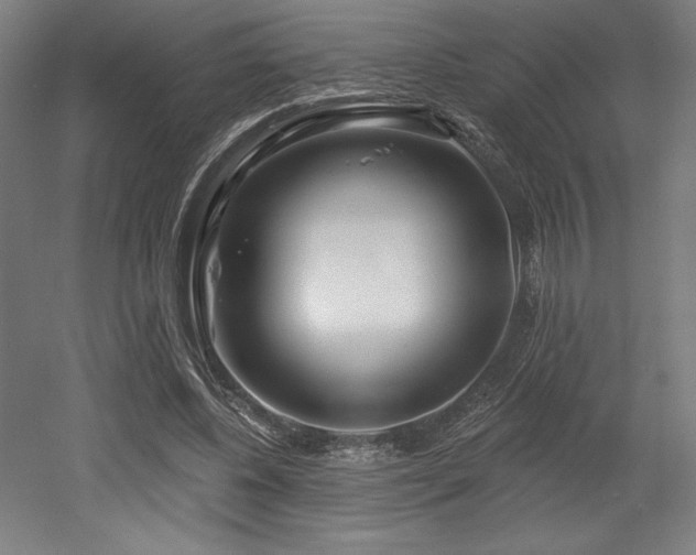 X0000053020540200507081328