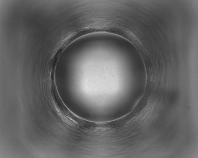 X0000053020542200507081328