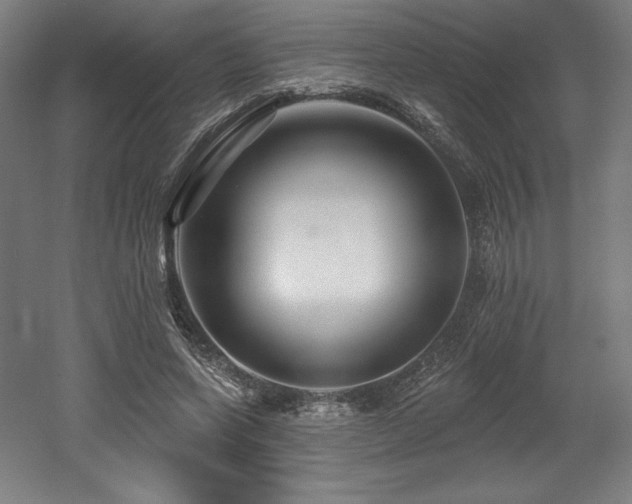 X0000053020543200507081328