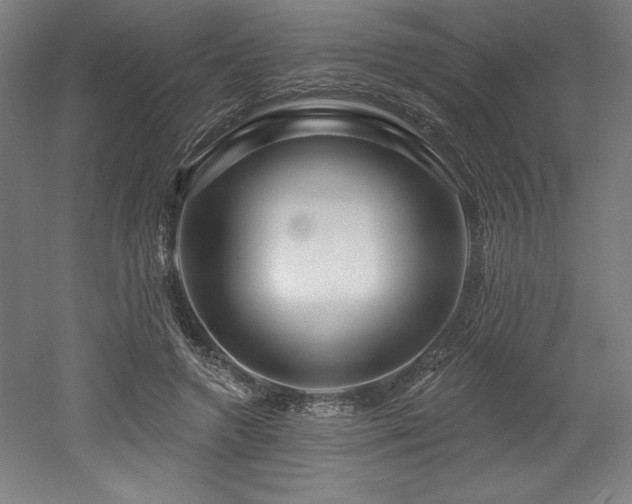 X0000053020546200507081328