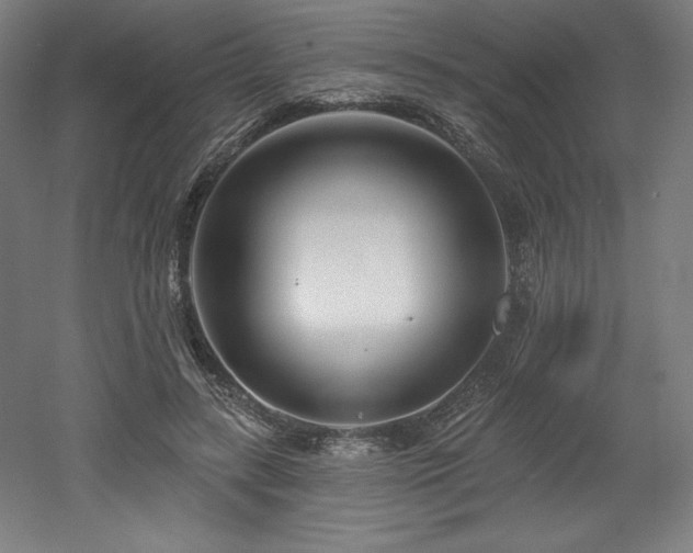X0000053020547200507081328