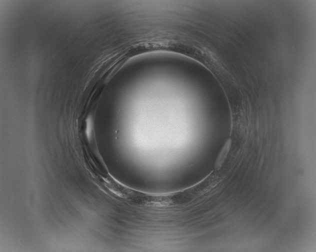 X0000053020548200507081329
