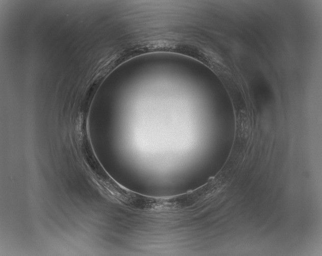 X0000053020550200507081329