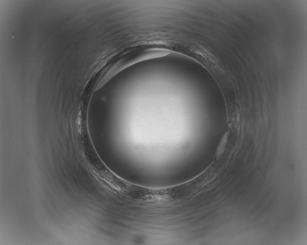 X0000053020552200507081329