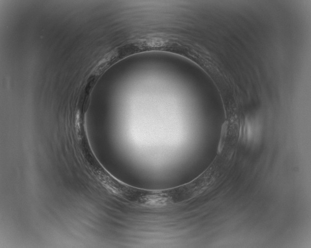 X0000053020555200507081329