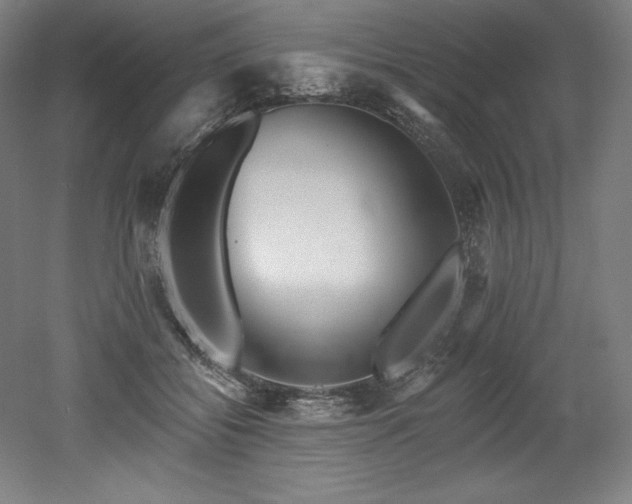 X0000053020556200507081329
