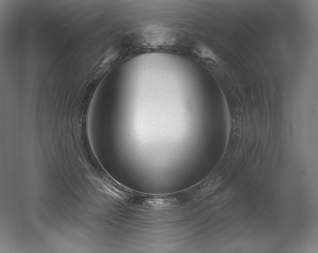 X0000053020558200507081329