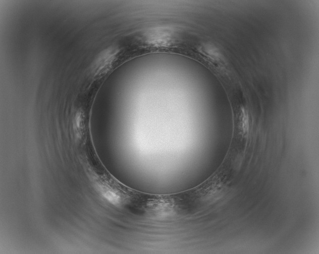 X0000053020559200507081329