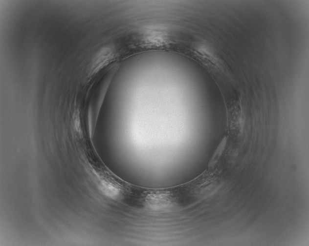 X0000053020560200507081329