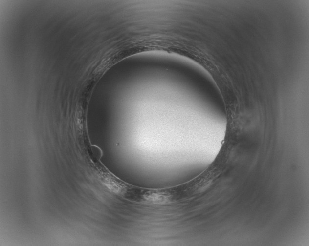 X0000053020561200507081329