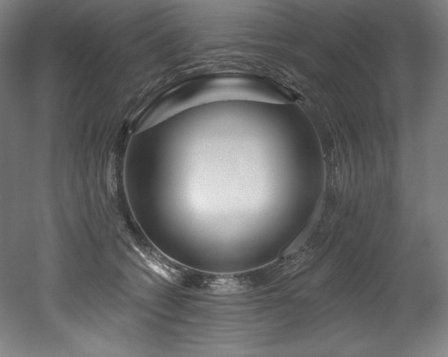 X0000053020562200507081329
