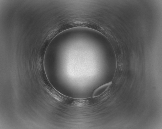 X0000053020563200507081329