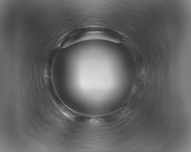 X0000053020566200507081329
