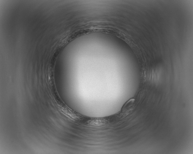 X0000053020567200507081329