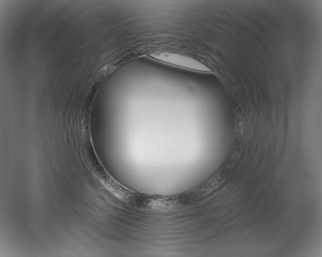 X0000053020568200507081329