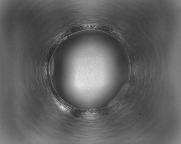X0000053020570200507081329