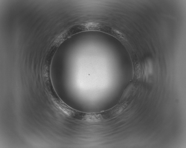 X0000053020571200507081329