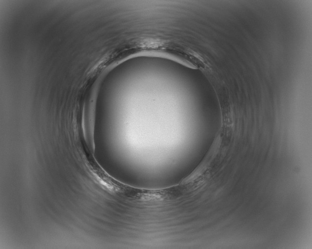 X0000053020572200507081329