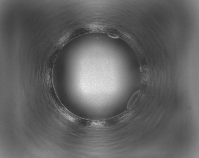 X0000053020573200507081329