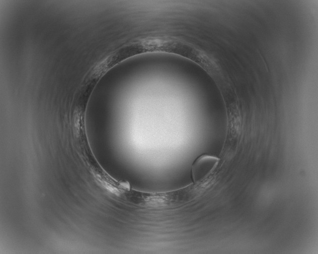 X0000053020574200507081329