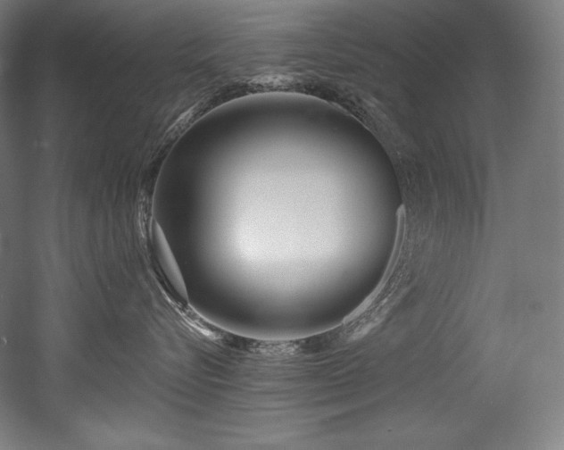 X0000053020576200507081329