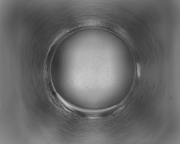X0000053020579200507081328