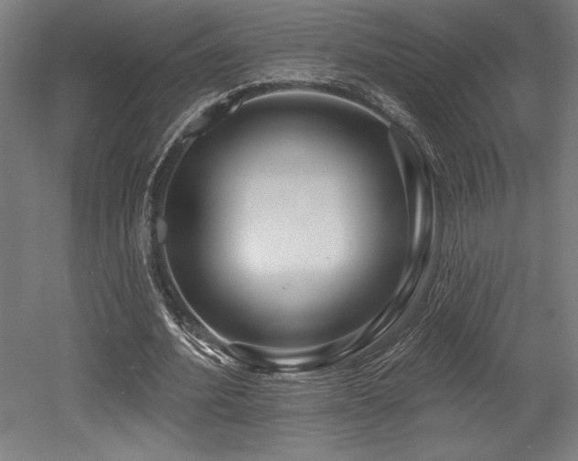 X0000053020580200507081328