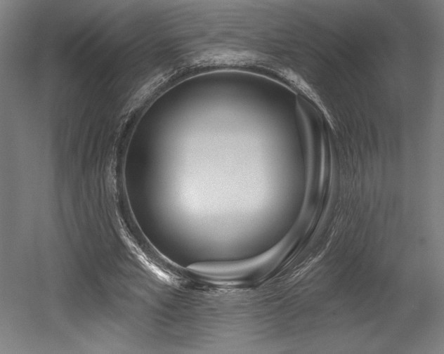 X0000053020581200507081328