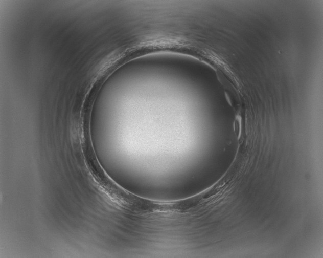 X0000053020582200507081328