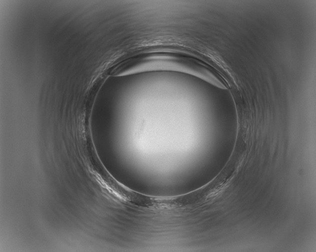 X0000053020585200507081328