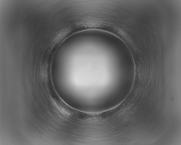 X0000053020586200507081328