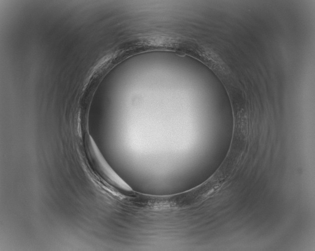 X0000053020587200507081328