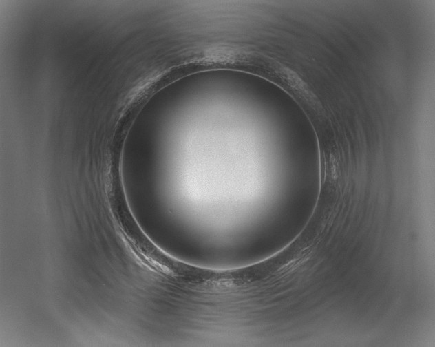 X0000053020588200507081328