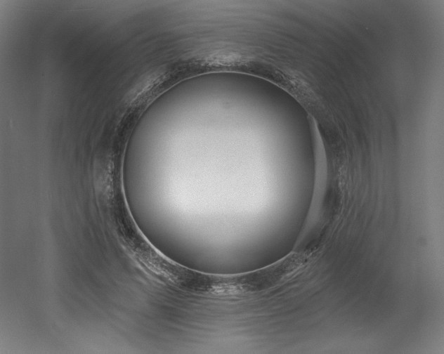 X0000053020591200507081328