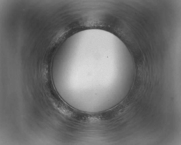 X0000053020592200507081328