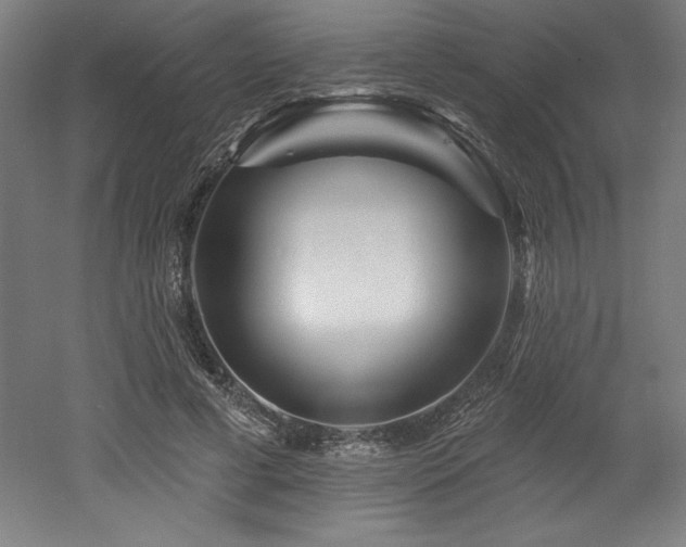X0000053020593200507081328