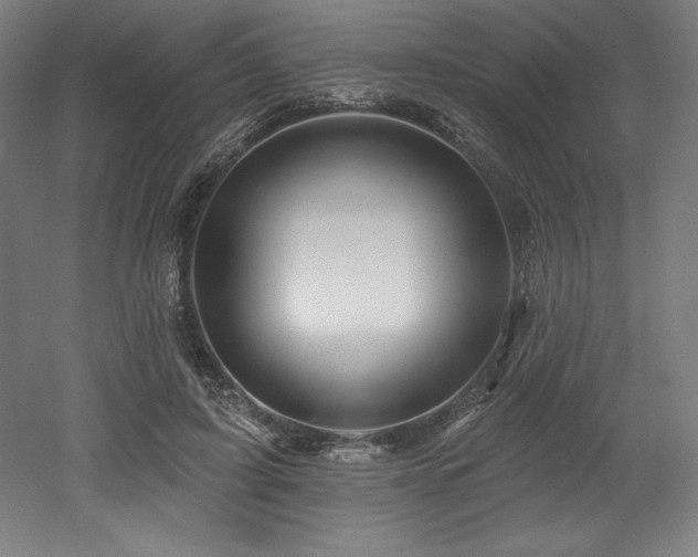 X0000053020595200507081328