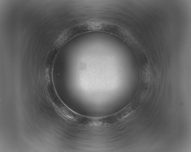 X0000053020598200507081328