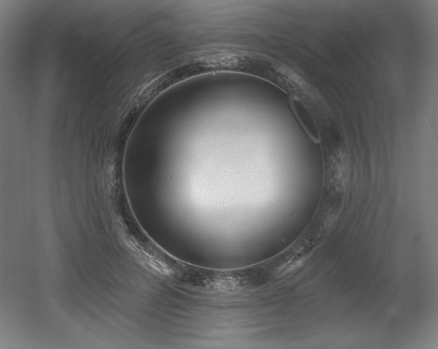 X0000053020600200507081328