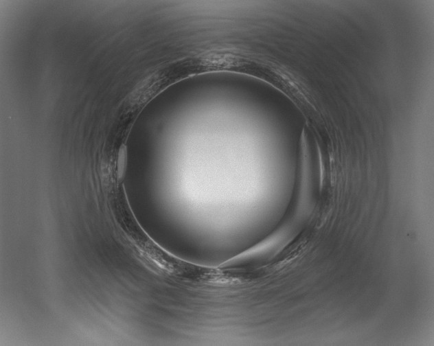 X0000053020601200507081328