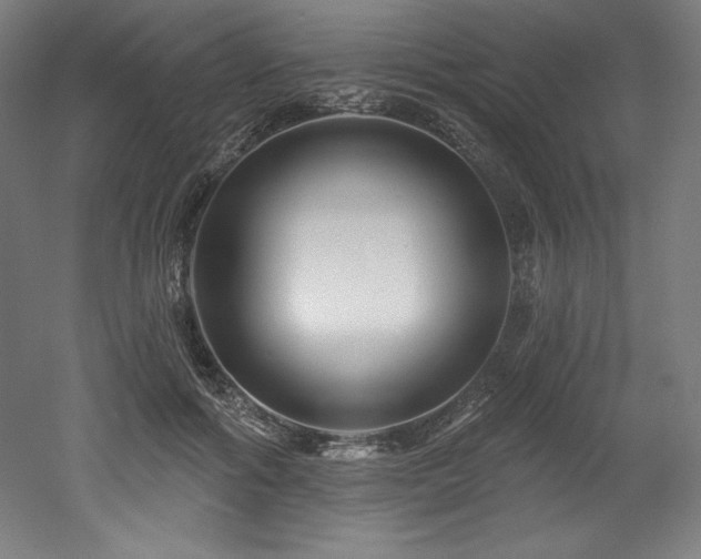 X0000053020602200507081328