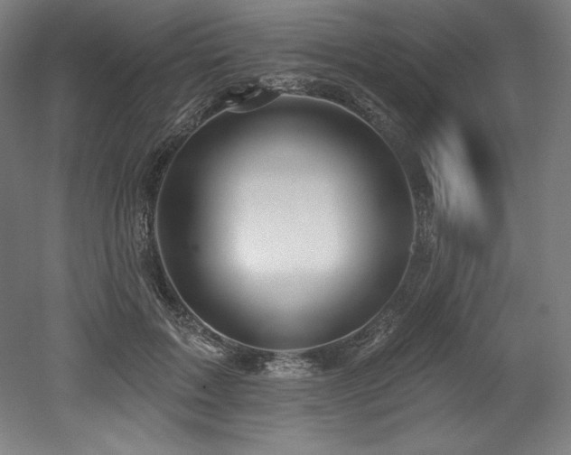 X0000053020603200507081328