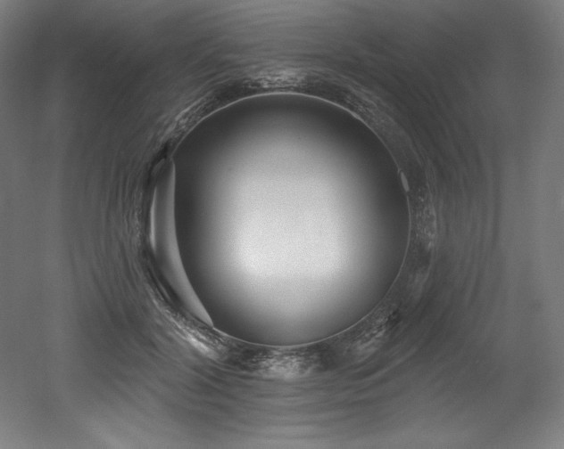 X0000053020604200507081328