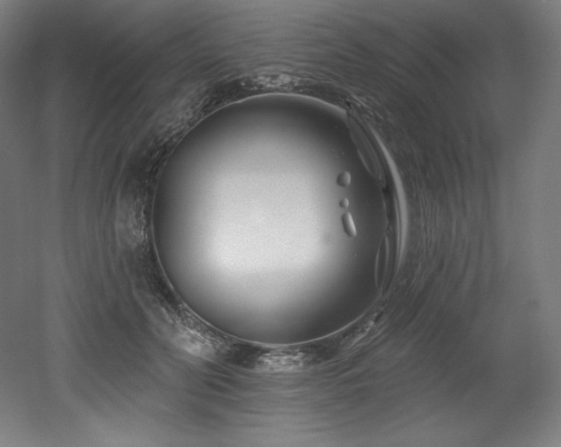 X0000053020606200507081328