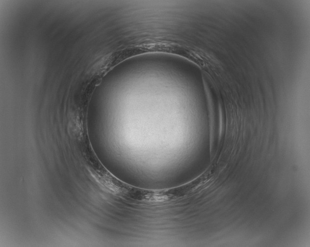 X0000053020607200507081328
