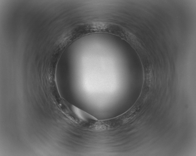 X0000053020608200507081328