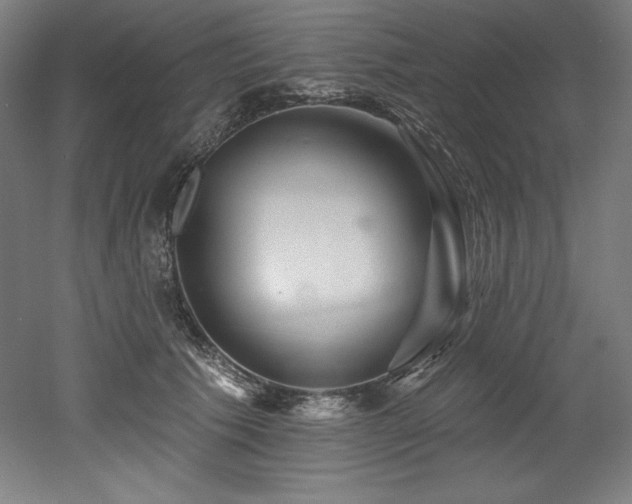 X0000053020609200507081328