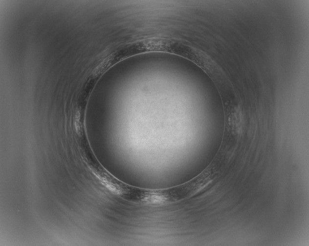 X0000053020610200507081328
