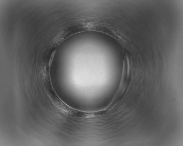 X0000053020611200507081328